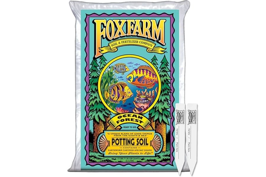 Best Aerated Potting Soil for Container Plants
