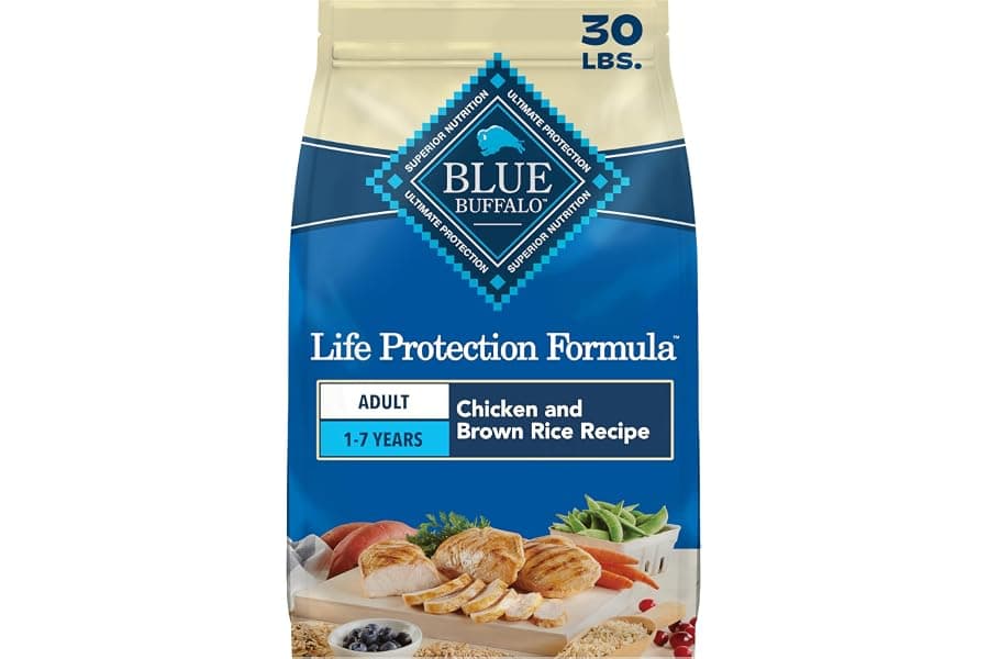 Best Premium Dog Food for Adult Dogs