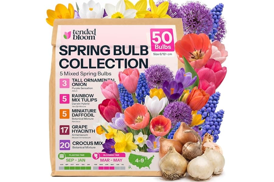 Spring Flower Bulb Collection for Cut Flowers