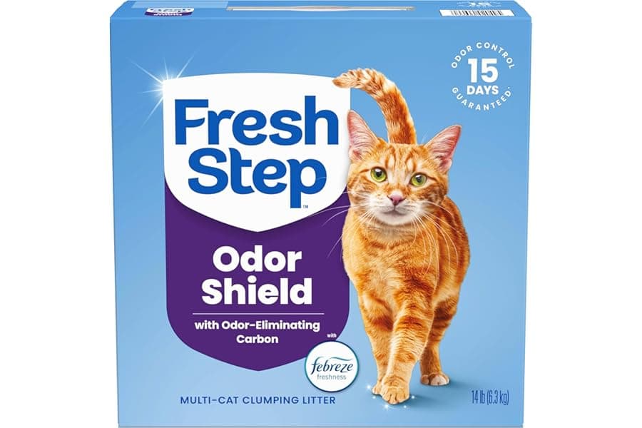 Best Multi-Cat Clumping Litter for Odor Control