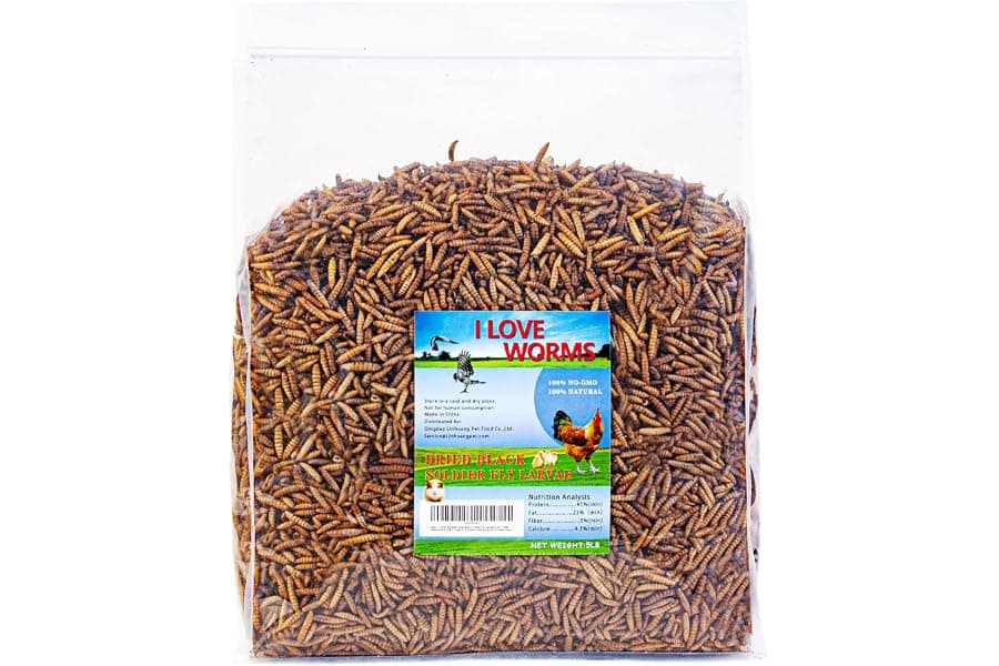 Best Dried Black Soldier Fly Larvae for Chickens 2026