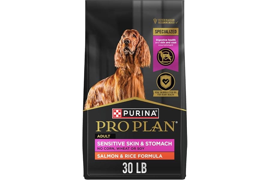 Best Dog Food for Sensitive Skin and Stomach