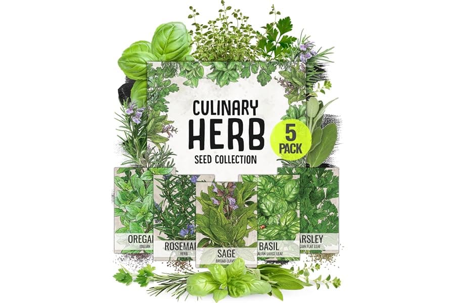 Best 5-Pack Italian Herb Garden Seed Collection 2026