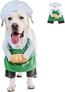 Dog Vampire Devil Cloak Cape: Halloween Costume Guide