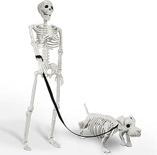 Lighted Skeleton Halloween Decorations for Outdoors & Home