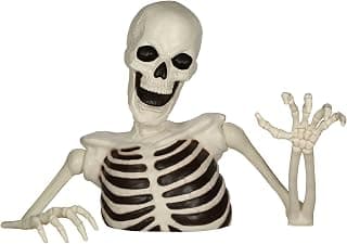 Life-Size 48-Inch Skeleton for Outdoor Halloween Displays