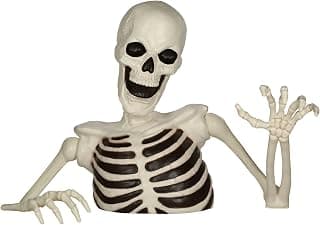 Life-Size 48-Inch Skeleton for Outdoor Halloween Displays