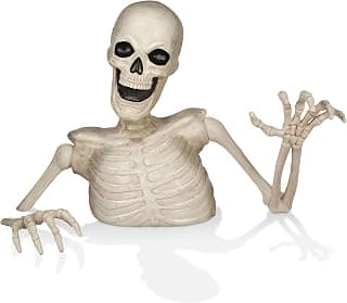 Best Outdoor Halloween Skeletons for Yard Decor