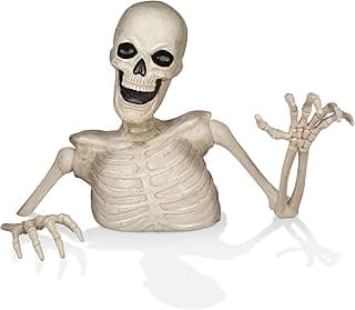 Best Outdoor Halloween Skeletons for Yard Decor