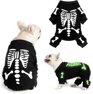 Best Halloween Dog Pajamas for Winter Warmth