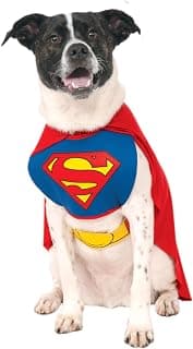 Superman Dog and Cat Costume: A Halloween Pet Guide