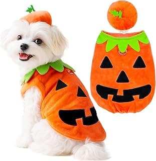 Cute Pumpkin Costumes for Small Dogs and Cats