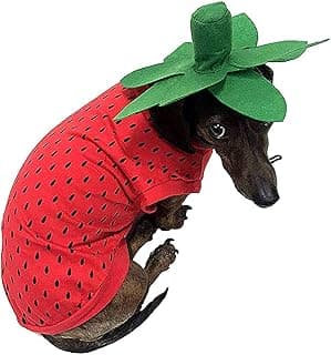 Adorable Strawberry Dog Costume for Halloween