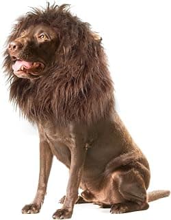 Lion Mane Dog Costume with Ears for Halloween & Christmas