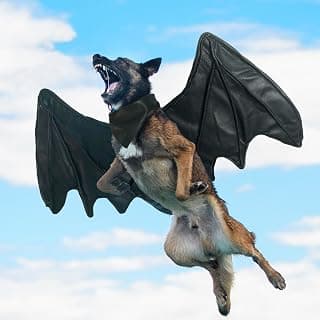 Funny Reindeer Costumes for Dogs