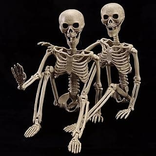 Life-Size Posable Halloween Skeletons for Yard Decor