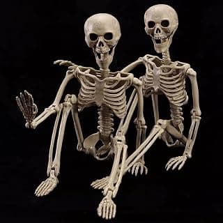 Life-Size Posable Halloween Skeletons for Yard Decor