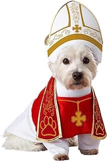 Small Angel Dog Costume for Pets