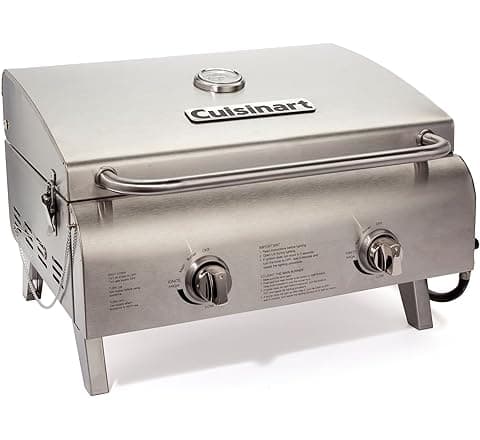 Perfect Two Burner Gas Grill for Small Spaces