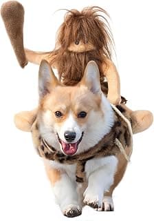 Best Cowboy Dog Halloween Costumes for Your Pup