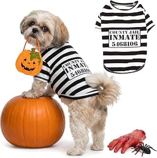 Dog Prisoner Costumes for Halloween