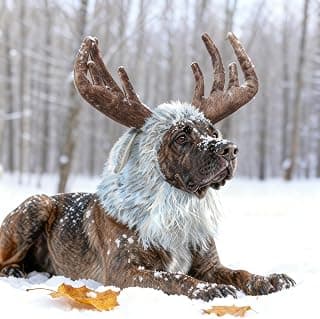 Funny Pet Reindeer Costumes for Dogs