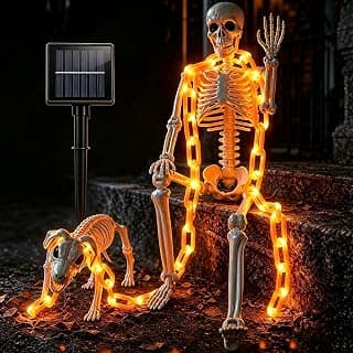 Best Skeleton Decorations for Halloween Outdoor Displays